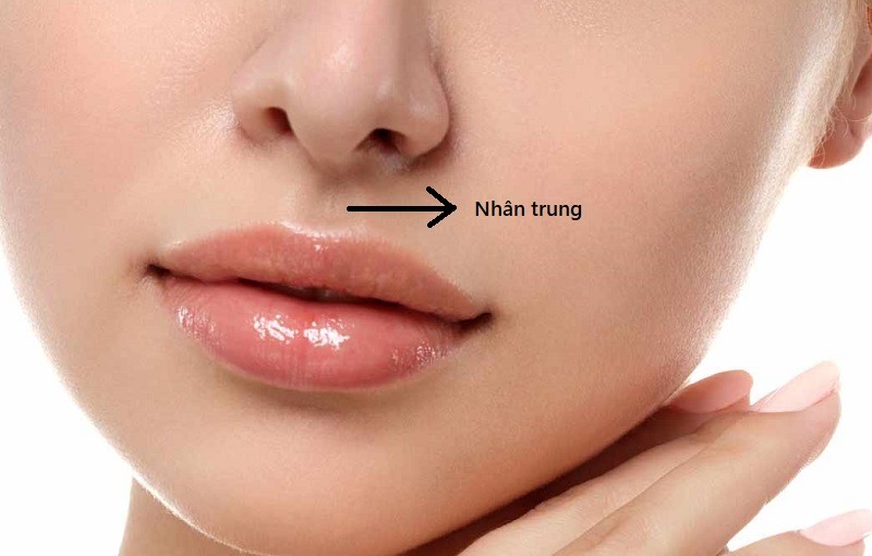 Nhân trung là gì và vai trò của nó trong nhân tướng học