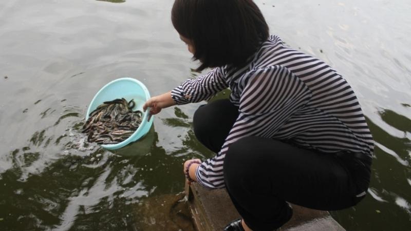 Văn khấn phóng sanh là hoạt động mang tính tâm linh cao