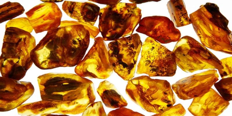 Mua hổ phách uy tín tại Phong Thuỷ Đại Bàng