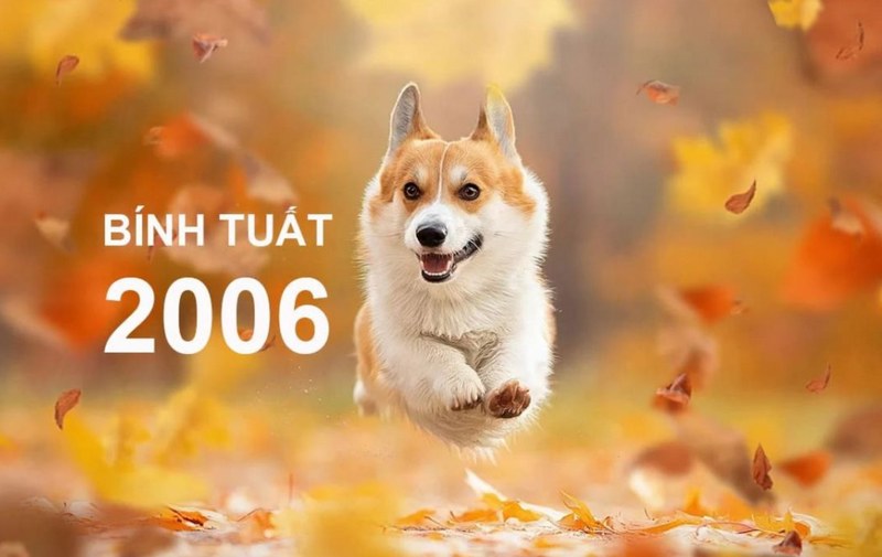 Bính Tuất mệnh gì? Hiểu bản mệnh để hiểu rõ về chính mình