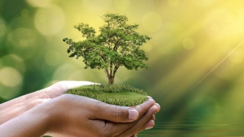 Tham khảo trang sức đá phong thủy mệnh Mộc hiện nay